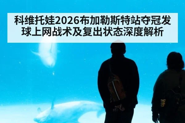 科维托娃2026布加勒斯特站夺冠发球上网战术及复出状态深度解析