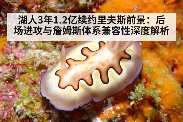 湖人3年1.2亿续约里夫斯前景：后场进攻与詹姆斯体系兼容性深度解析