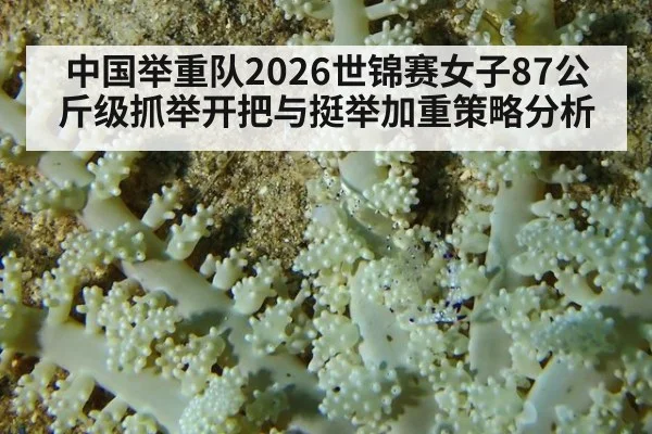 中国举重队2026世锦赛女子87公斤级抓举开把与挺举加重策略分析